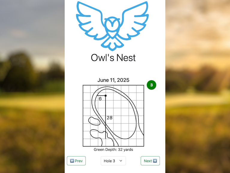 Point-and-Click Pin Placement on Real Green Images | Pin Sheet Pro